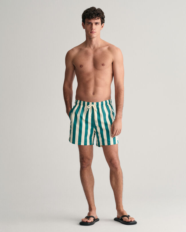 Block Striped Swim Shorts