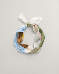 Foulard lungo in seta Art Print
