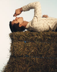 Camicia Western Wrangler x GANT slim in seta