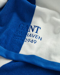 Telo mare a righe vivaci