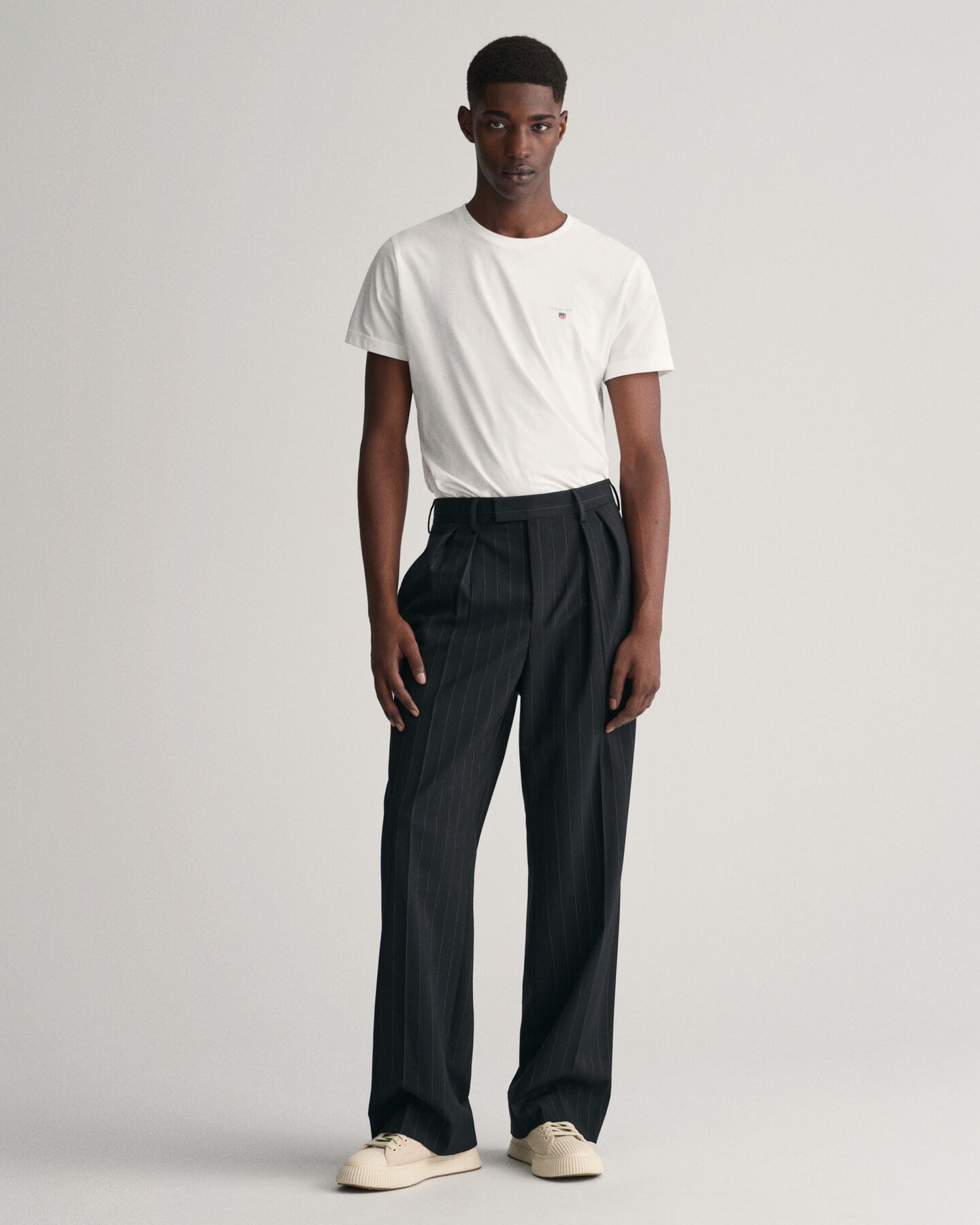 Pantaloni da abito gessati con pinces