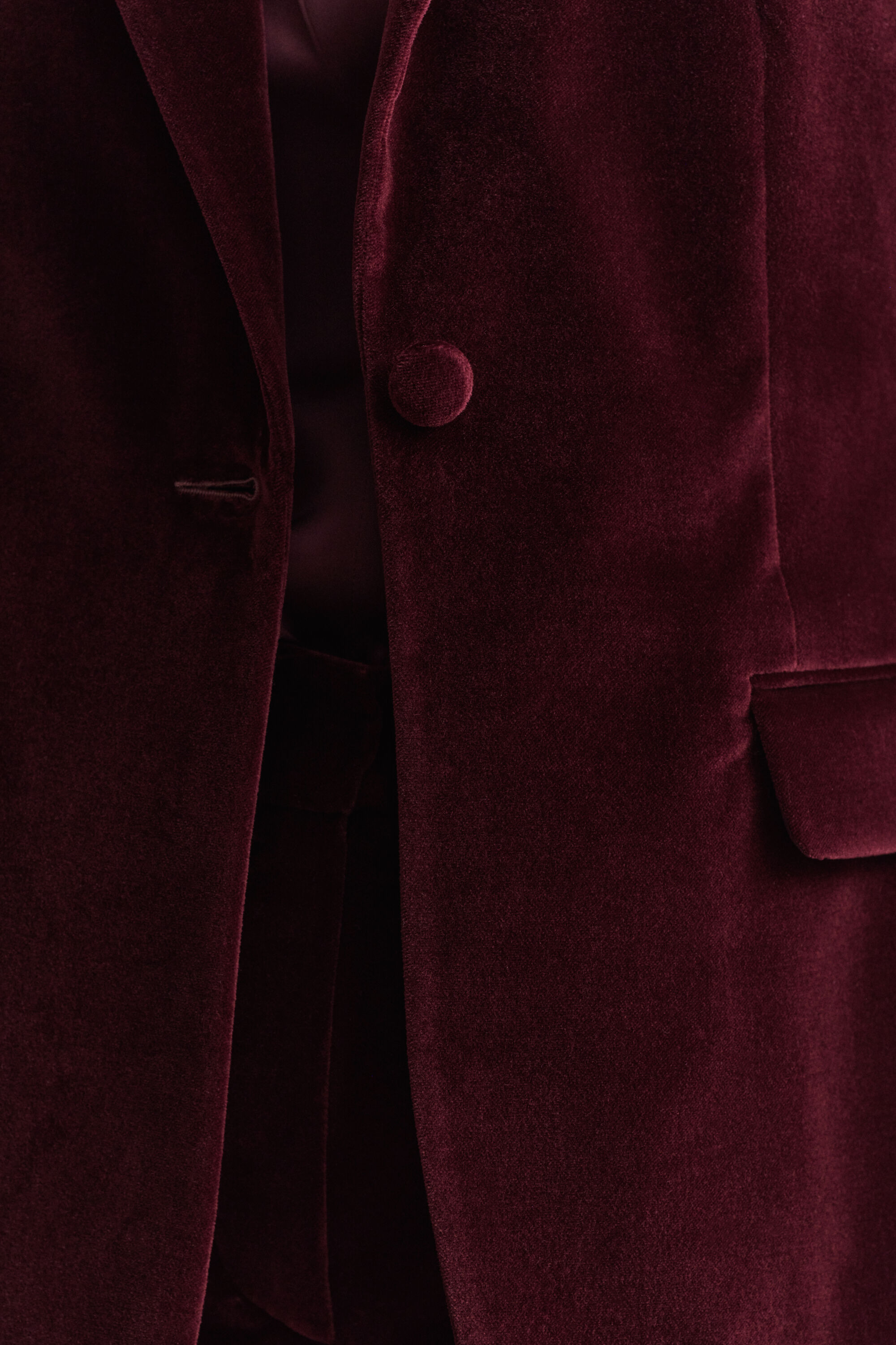 Blazer in velluto