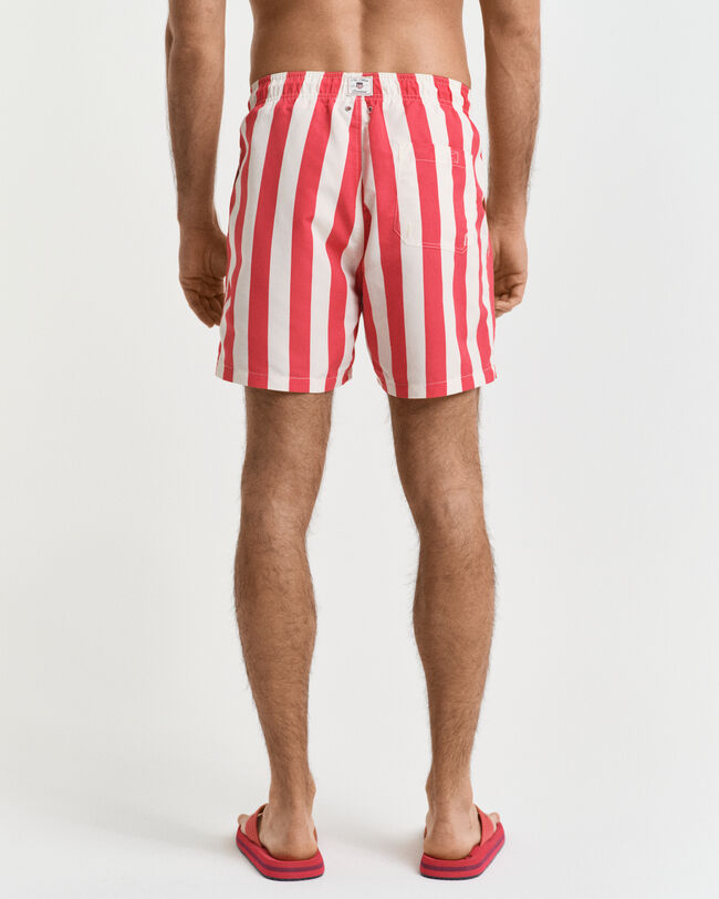 Pantaloncini da bagno a righe larghe