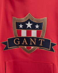 Felpa Banner Shield con cappuccio teens