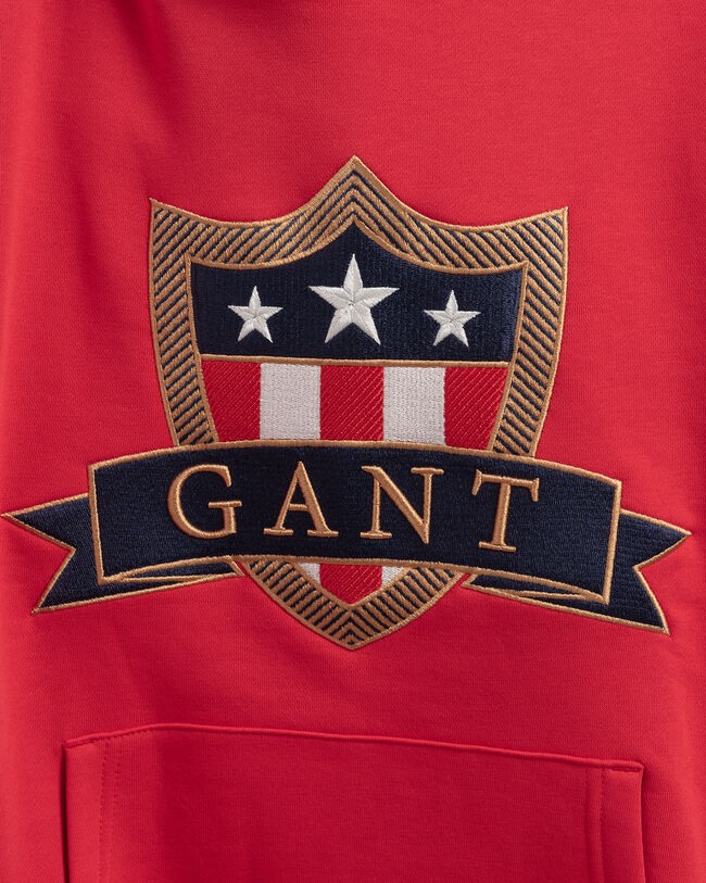 Felpa Banner Shield con cappuccio teens