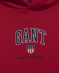 Felpa Retro Shield con cappuccio teens