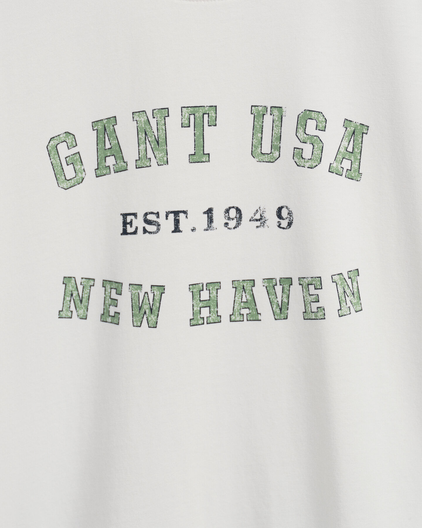 T-shirt USA Graphic teen boys