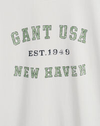 T-shirt USA Graphic teen boys