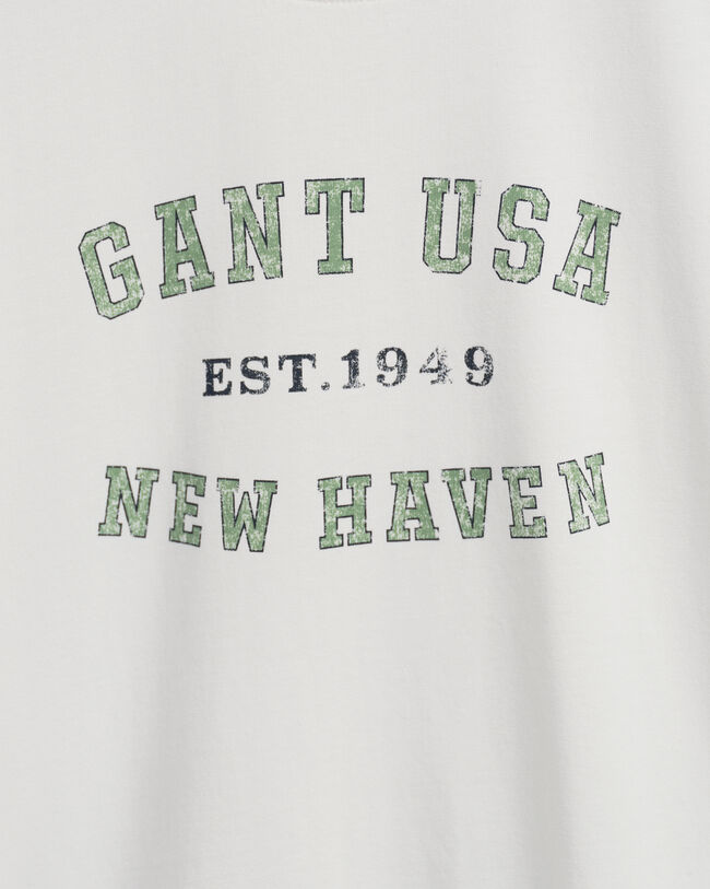 T-shirt USA Graphic teen boys