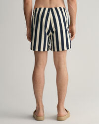 Pantaloncini da bagno a righe larghe classic fit