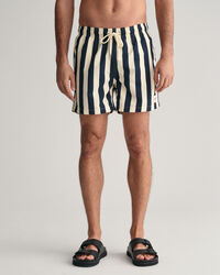 Block Striped Swim Shorts