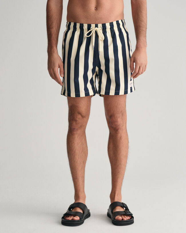 Block Striped Swim Shorts