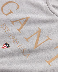 T-shirt Banner Shield Graphic