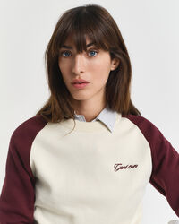 Maglia girocollo a blocchi di colore