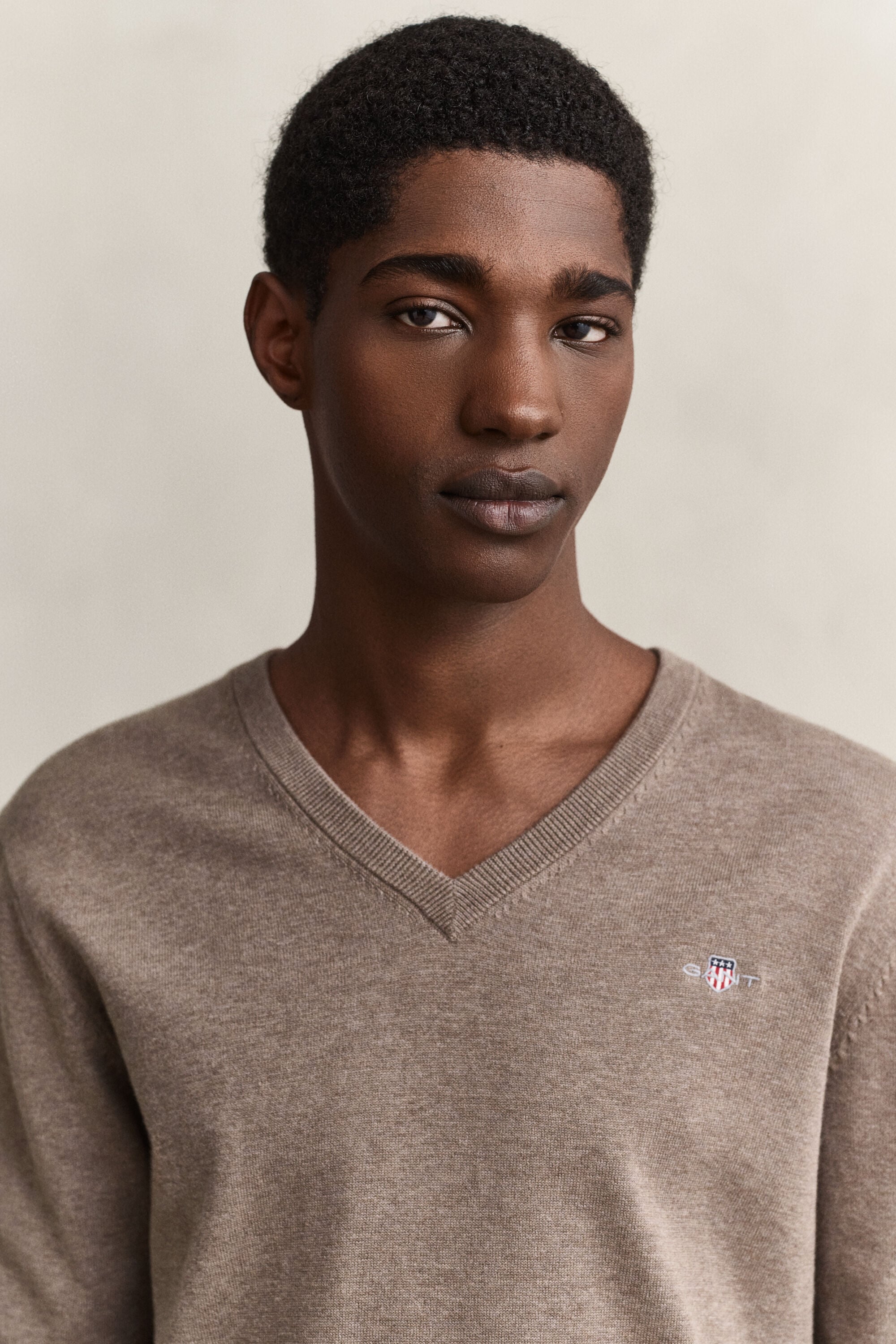 Maglia in cotone con scollo a V classico